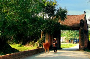 Triệu tập thí sinh xét tuyển vòng 2 trong kỳ tuyển dụng VC tại đơn vị sự nghiệp thuộc UBND TX năm 2020