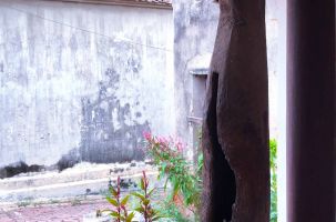 TÌM KIẾM VĂN HÓA TRUYỀN THỐNG ĐƯỜNG LÂM QUA BIỂU TƯỢNG CON GỖ CÁ